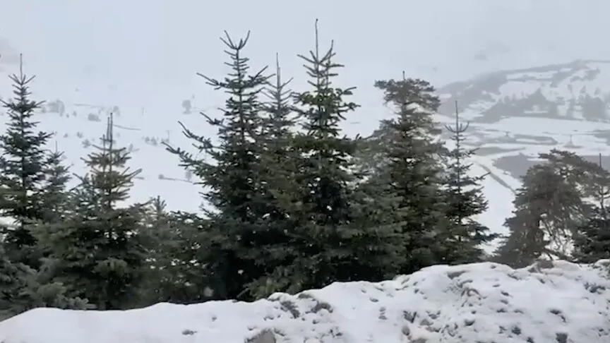 Mayıs Ayında Sürpriz Kar: Bolu ve Düzce'nin Zirveleri Beyaza Büründü