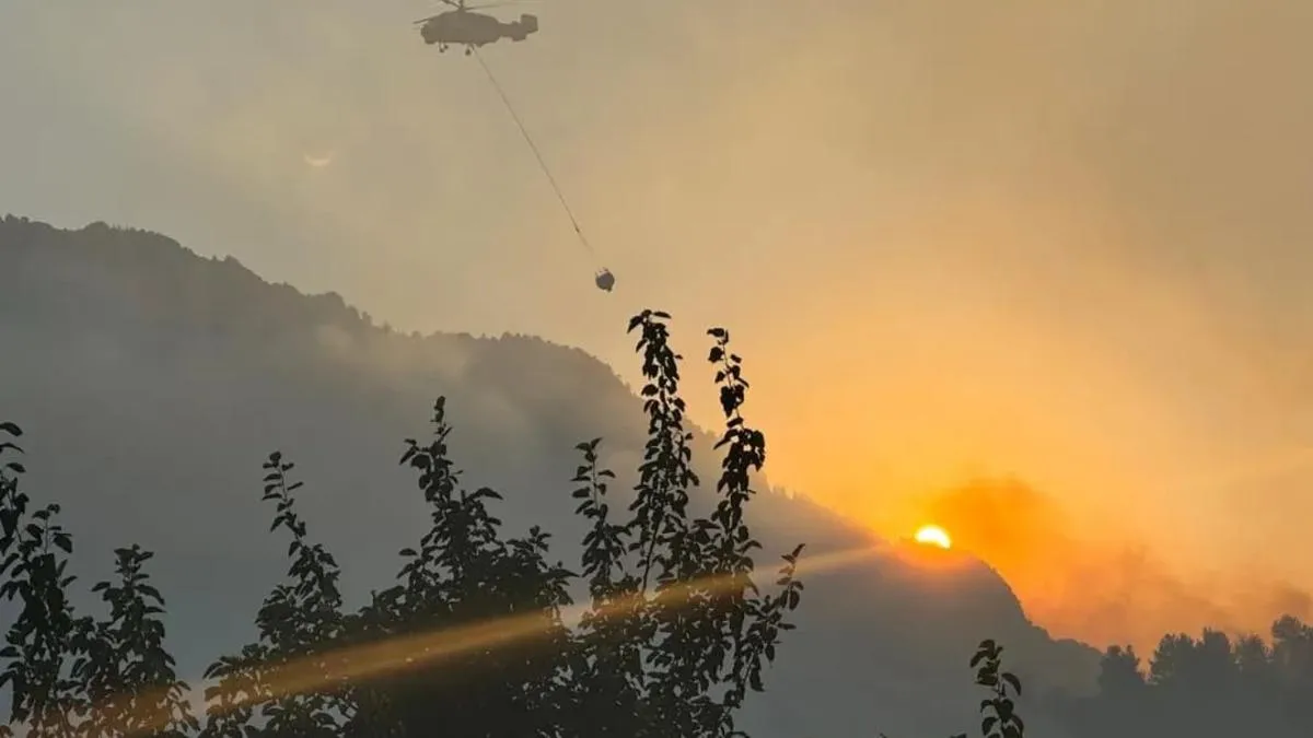 Bir Şaka Koca Ormanı Kül Etti: Milyonlarca Liralık Tazminat ve Hapis Cezası Kesinleşti!
